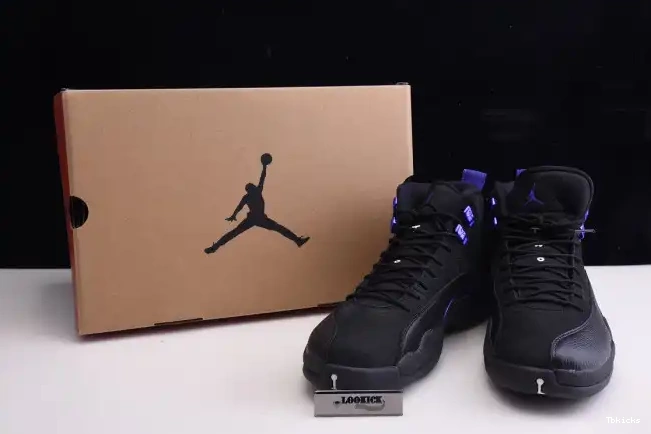 Rep TBK CT8013 Air 'Dark Jordan Retro Concord' 12 005 0619